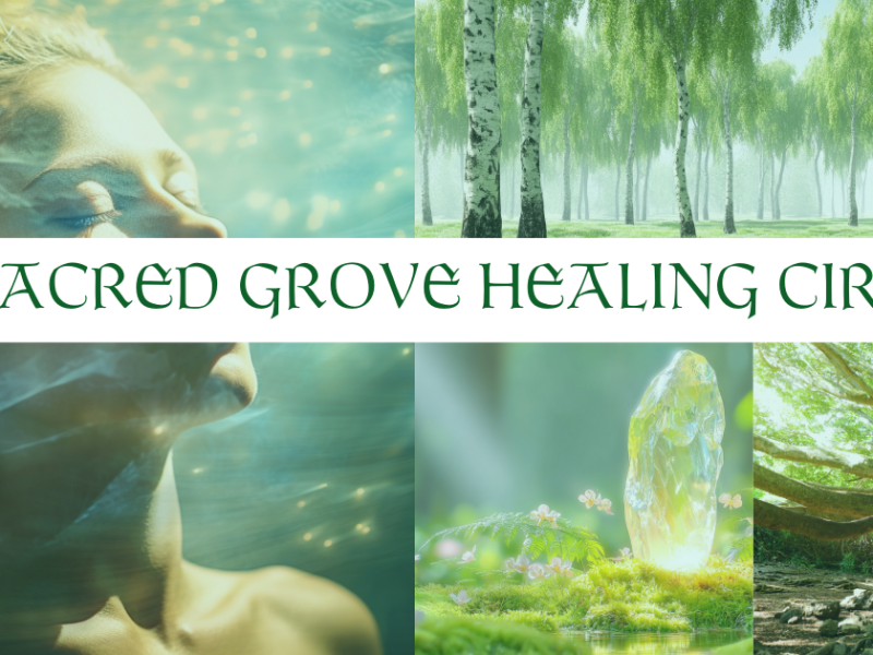 Finding Sanctuary: An Invitation to the Sacred Grove Healing&nbsp;Circle